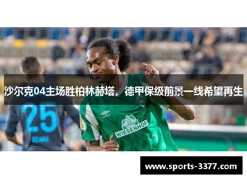 沙尔克04主场胜柏林赫塔，德甲保级前景一线希望再生